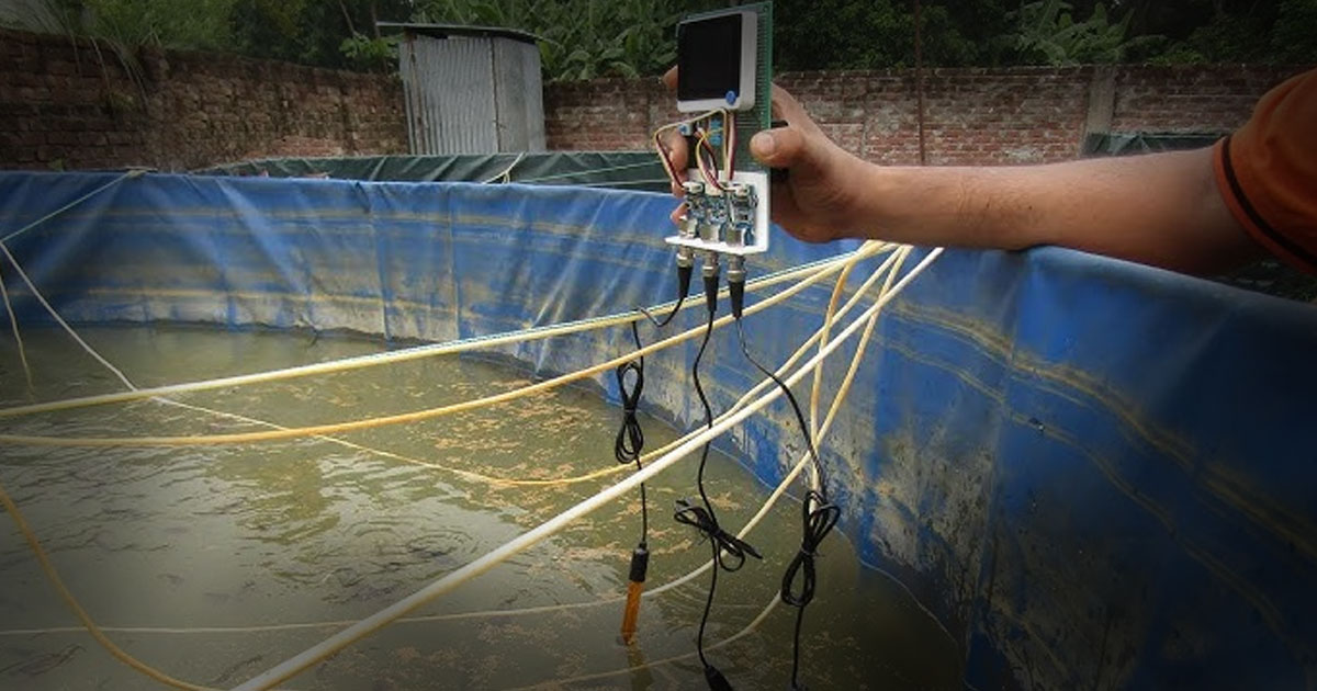 Sistem Bioflok Pemula Cara Menjaga Kualitas Air agar Tidak Keruh dan Tidak Bau